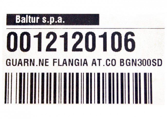 Прокладка фланца  BGN300 арт. 12120106 (3-19-0067)