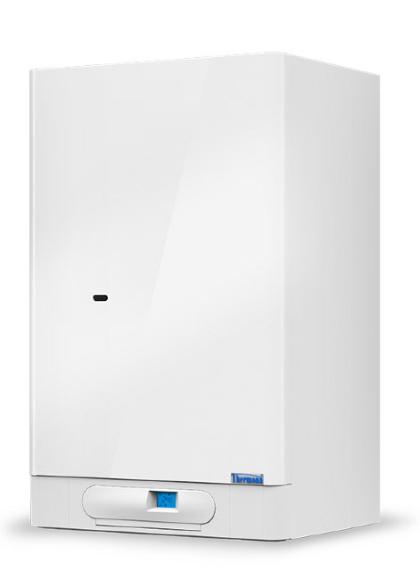 Газовый настенный котел THERMONA THERM DUO 50 FT.A Газовый настенный котел THERMONA THERM DUO 50 FT.A